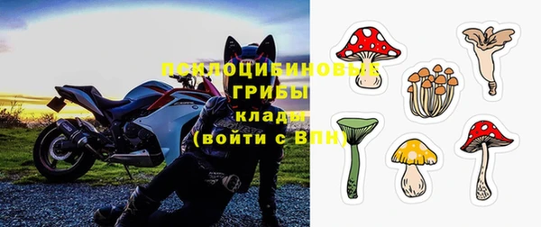 ГАЛЛЮЦИНОГЕННЫЕ ГРИБЫ Карпинск
